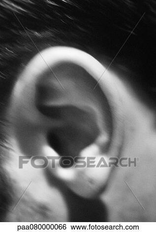 Stock Photograph - Man's ear, blurred, close-up, black and white.. Fotosearch