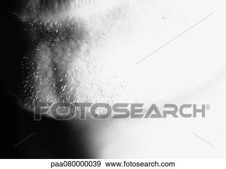 Stock Photo - Man's stubbled chin, close-up, b&w. Fotosearch
