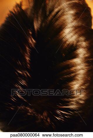 Picture - Top of man's head, blurred. Fotosearch