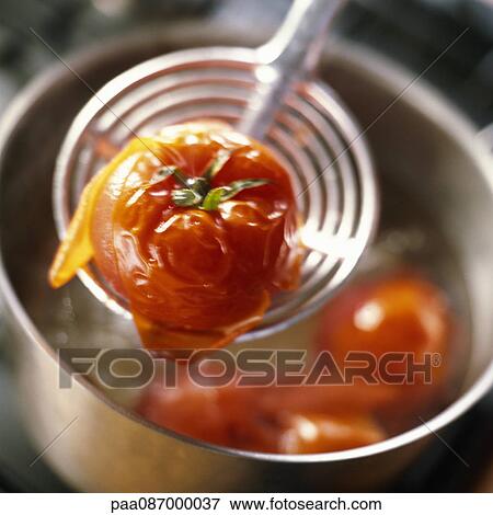 Close-up of cooked tomato held on skimmer over pot View Large Photo Image Stock Photo - Close-up of cooked tomato held on skimmer over pot. Fotosearch