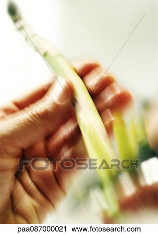 Stock Image - Close-up of hand holding asparagus, blurry.. Fotosearch