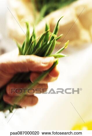 Stock Image - Close-up of hand holding green beans. Fotosearch