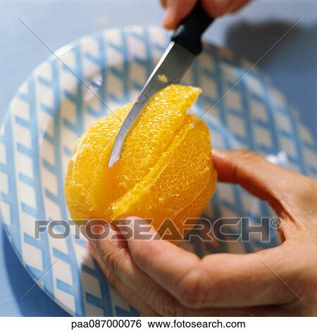 Close-up of hands cutting peeled orange with a knife. View Large Photo Image Stock Photograph - Close-up of hands cutting peeled orange with a knife.. Fotosearch