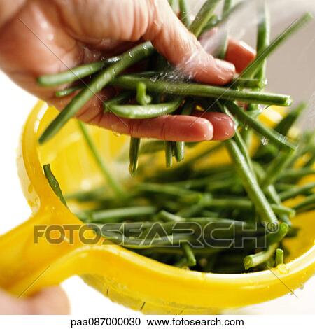 Stock Image - Close-up of hands holding and rinsing green beans.. Fotosearch