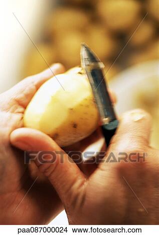 Close-up of hands peeling a potato. View Large Photo Image Picture - Close-up of hands peeling a potato.. Fotosearch