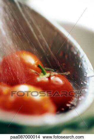 Picture - Close-up of tomatoes being rinsed.. Fotosearch