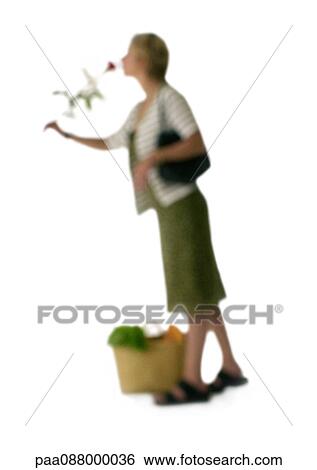 Silhouette of woman smelling rose, on white background, defocused View Large Photo Image Stock Photograph - Silhouette of woman smelling rose, on white background, defocused. Fotosearch
