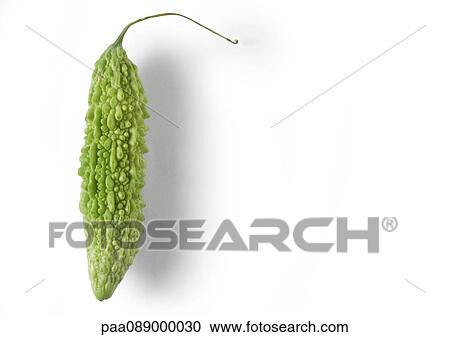Bitter melon, full length View Large Photo Image Stock Image - Bitter melon, full length. Fotosearch