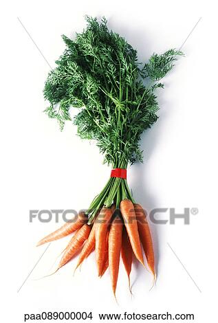Picture - Bunch of carrots, full length. Fotosearch