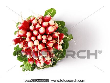 Bunch of radishes View Large Photo Image Stock Photo - Bunch of radishes . Fotosearch