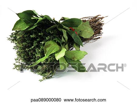 Bunch of thyme and bay laurel View Large Photo Image Stock Image - Bunch of thyme and bay laurel. Fotosearch