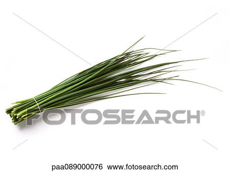 Bundle of chives, full length View Large Photo Image Stock Photograph - Bundle of chives, full length. Fotosearch