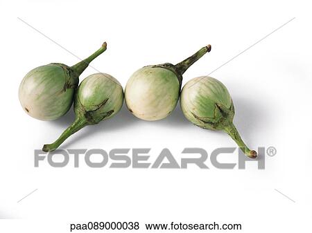 Four white round eggplant, close-up View Large Photo Image Stock Photo - Four white round eggplant, close-up. Fotosearch