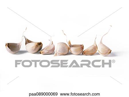 Garlic cloves in a line, front view View Large Photo Image Stock Photo - Garlic cloves in a line, front view. Fotosearch