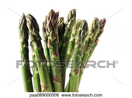 Green asparagus tips, close-up View Large Photo Image Stock Photograph - Green asparagus tips, close-up. Fotosearch