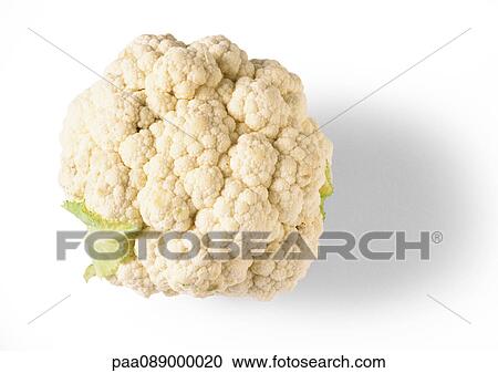 Head of cauliflower, top view, close-up View Large Photo Image Stock Image - Head of cauliflower, top view, close-up. Fotosearch
