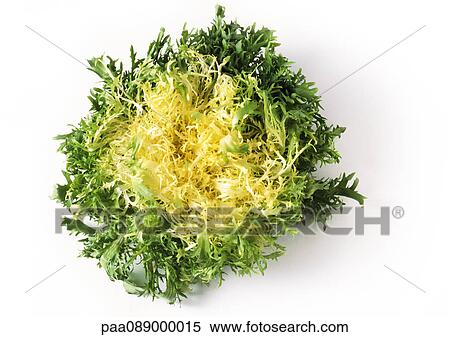 Head of frisee lettuce, top view, close-up View Large Photo Image Stock Photography - Head of frisee lettuce, top view, close-up. Fotosearch