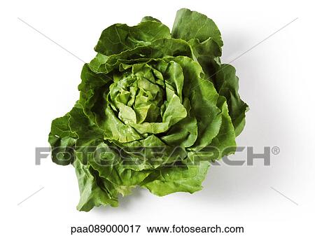 Stock Photo - Head of green lettuce, top view, close-up. Fotosearch