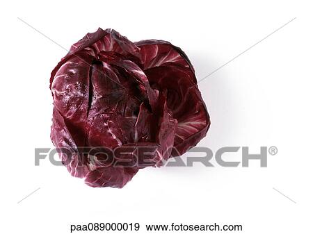 Head of radicchio lettuce, top view View Large Photo Image Stock Photo - Head of radicchio lettuce, top view. Fotosearch