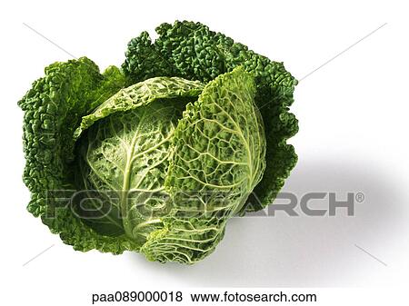 Head of Savoy cabbage, close-up View Large Photo Image Stock Photo - Head of Savoy cabbage, close-up. Fotosearch