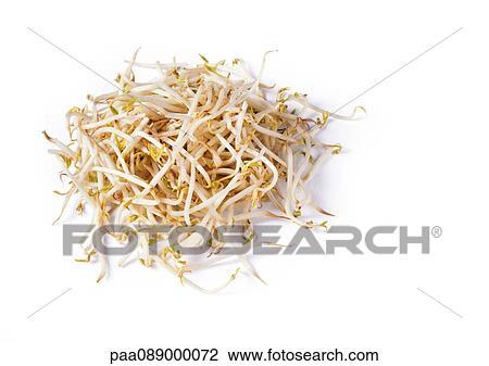 Mound of bean sprouts. View Large Photo Image Stock Image - Mound of bean sprouts.. Fotosearch