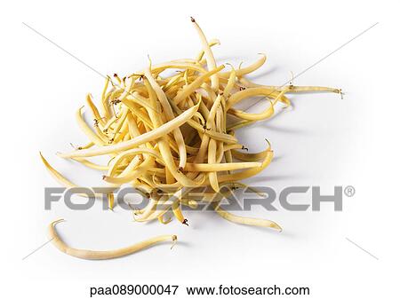 Stock Photo - Mound of yellow string beans. Fotosearch