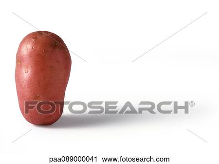 New potato standing upright, close-up View Large Photo Image Stock Image - New potato standing upright, close-up. Fotosearch