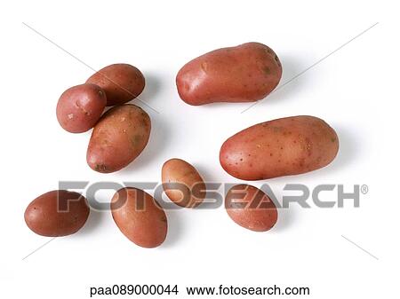 New potatoes. View Large Photo Image Picture - New potatoes.. Fotosearch