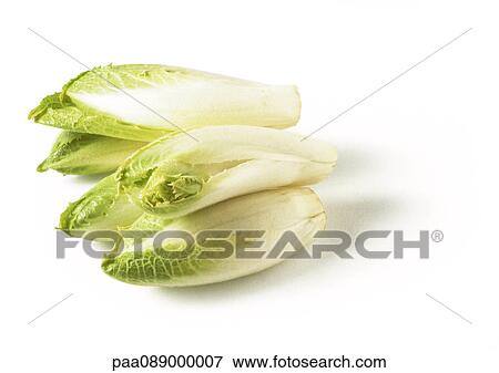 Pile of endive View Large Photo Image Stock Photo - Pile of endive. Fotosearch