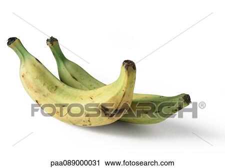 Plantains, full length View Large Photo Image Stock Image - Plantains, full length. Fotosearch