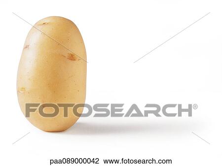 Potato, close-up View Large Photo Image Stock Image - Potato, close-up. Fotosearch