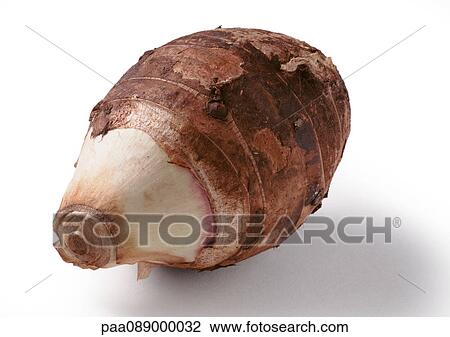 Taro root, close-up View Large Photo Image Stock Image - Taro root, close-up. Fotosearch