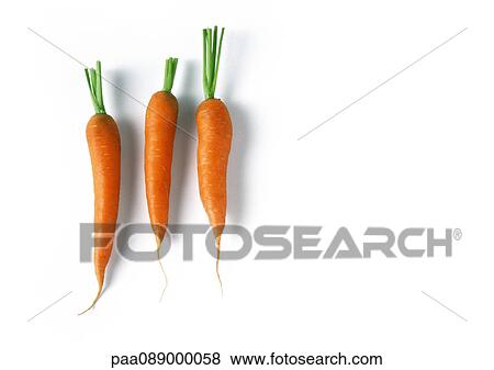Three carrots, full length View Large Photo Image Stock Photo - Three carrots, full length. Fotosearch