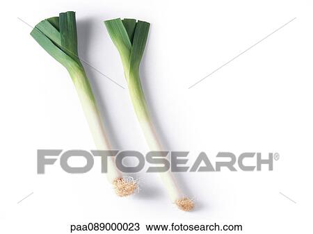 Two leeks, full length View Large Photo Image Stock Image - Two leeks, full length. Fotosearch