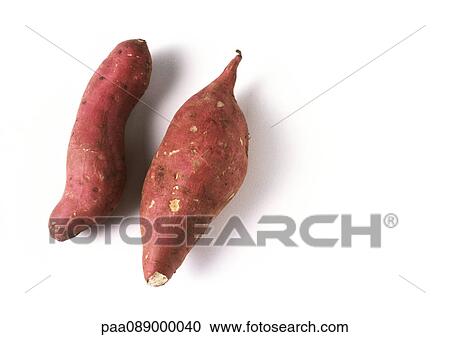 Two sweet potatoes, full length View Large Photo Image Stock Image - Two sweet potatoes, full length. Fotosearch