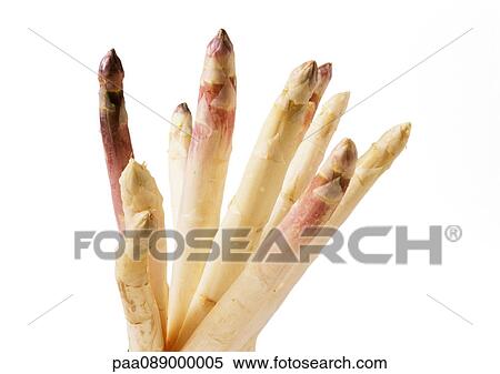 Stock Photography - White asparagus tips, close-up. Fotosearch
