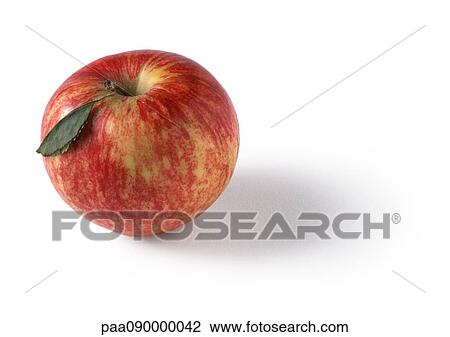 Apple, close-up View Large Photo Image Stock Image - Apple, close-up. Fotosearch