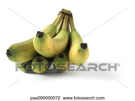 Bananas View Large Photo Image Stock Image - Bananas. Fotosearch