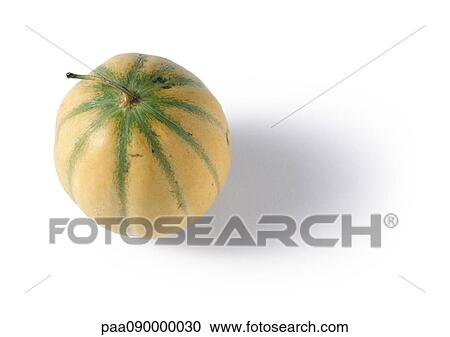 Cantaloupe View Large Photo Image Stock Image - Cantaloupe. Fotosearch