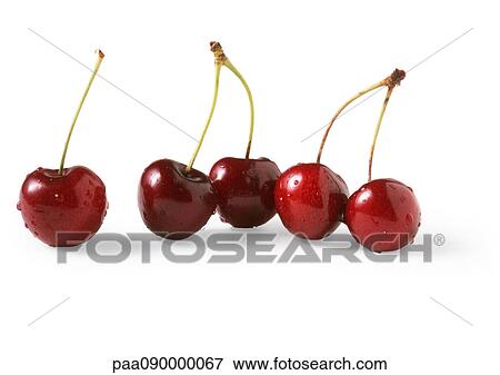 Stock Photo - Cherries, close-up. Fotosearch