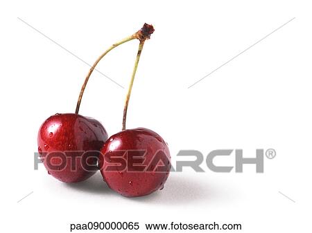 Cherries, close-up View Large Photo Image Stock Photography - Cherries, close-up. Fotosearch