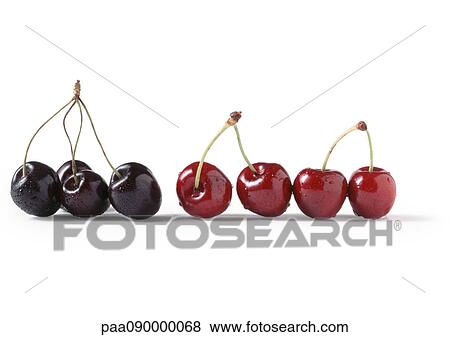 Stock Photo - Cherries. Fotosearch