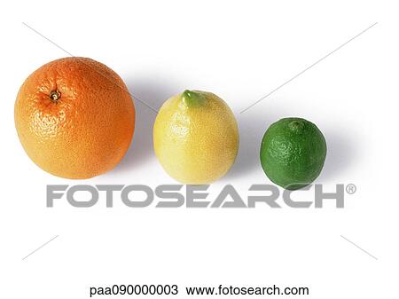 Stock Image - Citrus fruit. Fotosearch