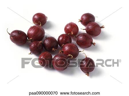 Currants, close-up View Large Photo Image Stock Image - Currants, close-up. Fotosearch