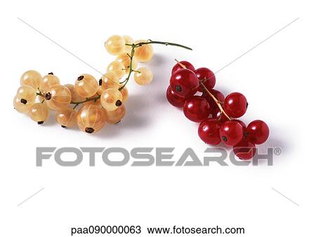 Currants View Large Photo Image Stock Image - Currants. Fotosearch
