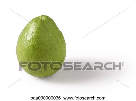 Guava View Large Photo Image Stock Photograph - Guava. Fotosearch