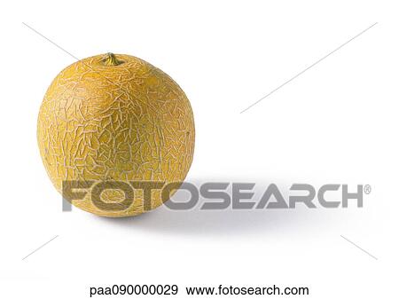 Honeydew melon View Large Photo Image Stock Photo - Honeydew melon. Fotosearch
