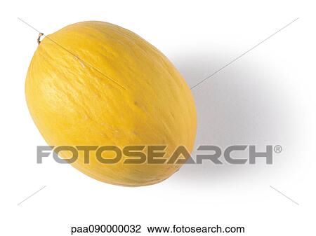 Juan Canary melon View Large Photo Image Stock Image - Juan Canary melon. Fotosearch