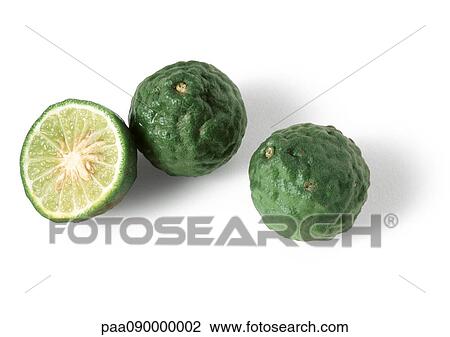 Kaffir limes View Large Photo Image Stock Image - Kaffir limes. Fotosearch