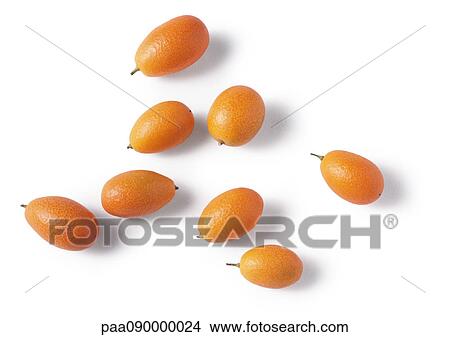 Kumquats View Large Photo Image Picture - Kumquats. Fotosearch